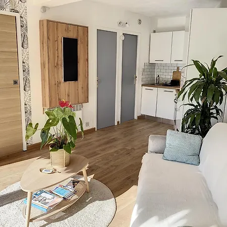 Logement Port De Plaisance, Terrasse Sud, Piscine Apartment
